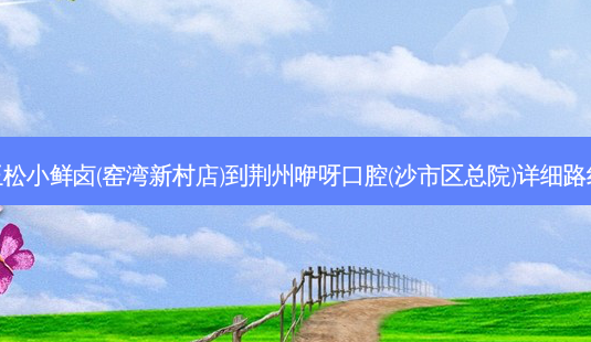 王松小鲜卤(窑湾新村店)到荆州咿呀口腔(沙市区总院)详细路线-第1张图片-臻颜网 王松小鲜卤(窑湾新村店)到荆州咿呀口腔(沙市区总院)详细路线-第1张图片-臻颜网