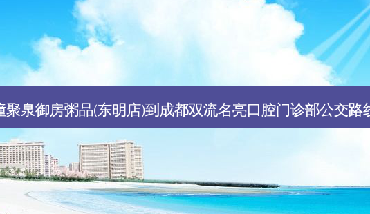潼聚泉御房粥品(东明店)到成都双流名亮口腔门诊部公交路线-第1张图片-臻颜网 潼聚泉御房粥品(东明店)到成都双流名亮口腔门诊部公交路线-第1张图片-臻颜网