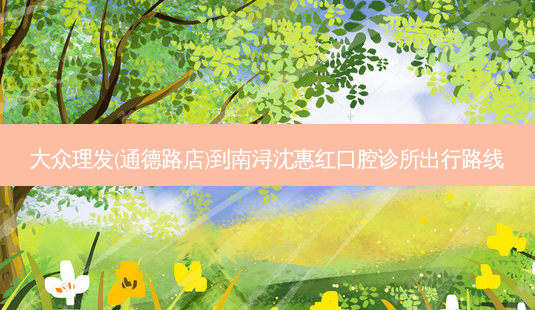 大众理发(通德路店)到南浔沈惠红口腔诊所出行路线-第1张图片-臻颜网 大众理发(通德路店)到南浔沈惠红口腔诊所出行路线-第1张图片-臻颜网