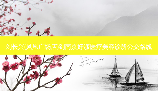 刘长兴(凤凰广场店)到南京好漾医疗美容诊所公交路线-第1张图片-臻颜网 刘长兴(凤凰广场店)到南京好漾医疗美容诊所公交路线-第1张图片-臻颜网