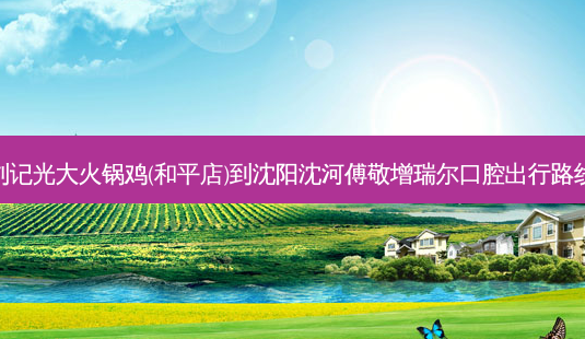 刘记光大火锅鸡(和平店)到沈阳沈河傅敬增瑞尔口腔出行路线-第1张图片-臻颜网 刘记光大火锅鸡(和平店)到沈阳沈河傅敬增瑞尔口腔出行路线-第1张图片-臻颜网