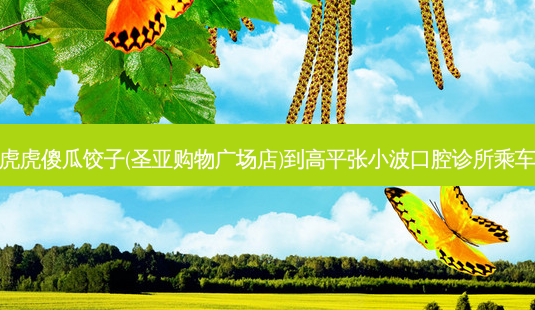 美客虎虎傻瓜饺子(圣亚购物广场店)到高平张小波口腔诊所乘车路线-第1张图片-臻颜网 美客虎虎傻瓜饺子(圣亚购物广场店)到高平张小波口腔诊所乘车路线-第1张图片-臻颜网