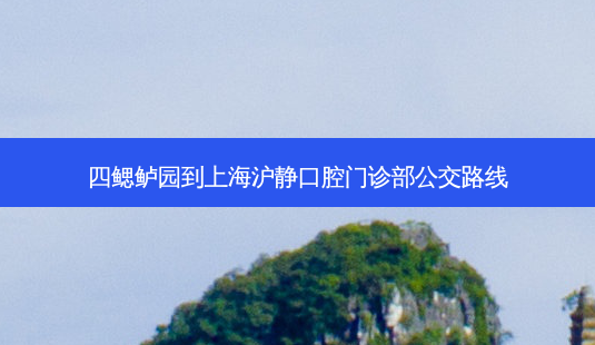 四鳃鲈园到上海沪静口腔门诊部公交路线-第1张图片-臻颜网 四鳃鲈园到上海沪静口腔门诊部公交路线-第1张图片-臻颜网
