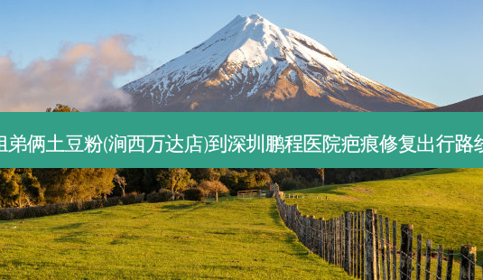 姐弟俩土豆粉(涧西万达店)到深圳鹏程医院疤痕修复出行路线-第1张图片-臻颜网 姐弟俩土豆粉(涧西万达店)到深圳鹏程医院疤痕修复出行路线-第1张图片-臻颜网