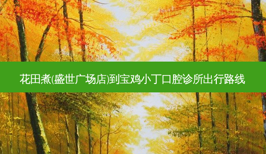 花田煮(盛世广场店)到宝鸡小丁口腔诊所出行路线-第1张图片-臻颜网 花田煮(盛世广场店)到宝鸡小丁口腔诊所出行路线-第1张图片-臻颜网