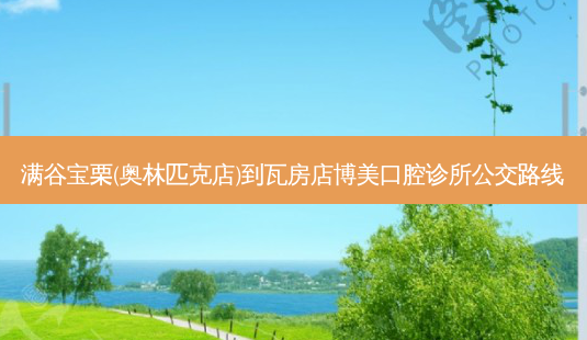 满谷宝栗(奥林匹克店)到瓦房店博美口腔诊所公交路线-第1张图片-臻颜网 满谷宝栗(奥林匹克店)到瓦房店博美口腔诊所公交路线-第1张图片-臻颜网